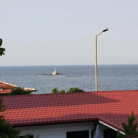 мила Царево