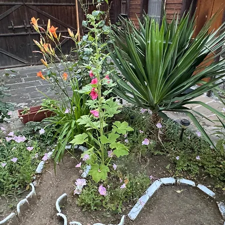 Ваканционна къща мила