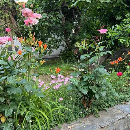 Ваканционна къща мила