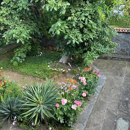 Ваканционна къща мила *