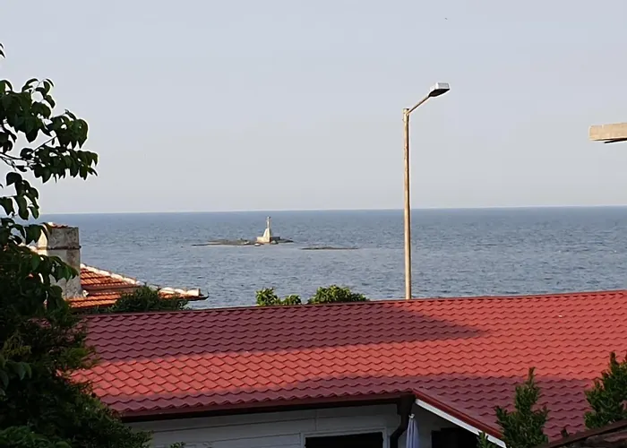 мила Царево