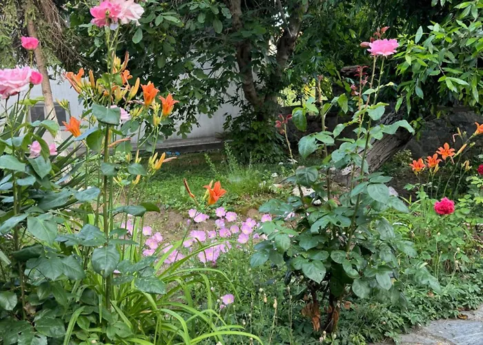 Ваканционна къща мила